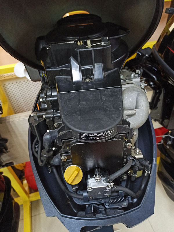 Лодочный мотор BREEZE F9,9S (4х тактный) в Красногорске