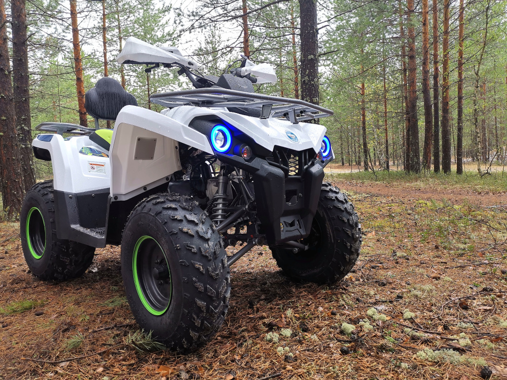 Квадроцикл PROMAX RENEGADE 280 (2025) в Красногорске
