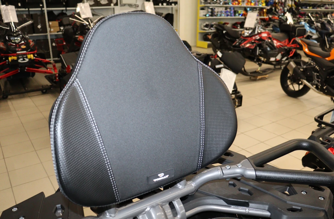 Квадроцикл PROMAX RENEGADE 300 LONG WINCH PRO (2025) в Красногорске