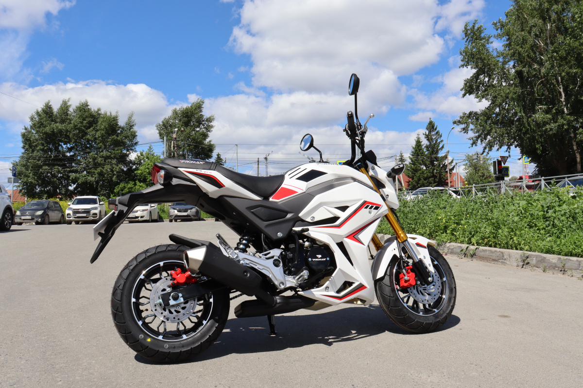 Мотоцикл PROMAX STRYKER 200(49) 2.0 в Красногорске