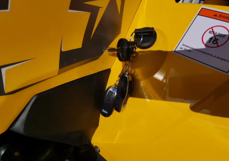 Квадроцикл MOTOLAND (МОТОЛЕНД) VOX200 WILD TRACK X PRO (баланс. вал) в Красногорске