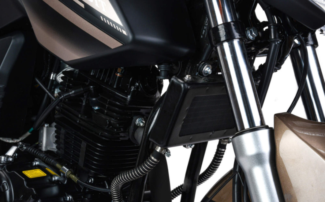 Мотоцикл MOTOLAND (МОТОЛЕНД) 300 BANDIT в Красногорске