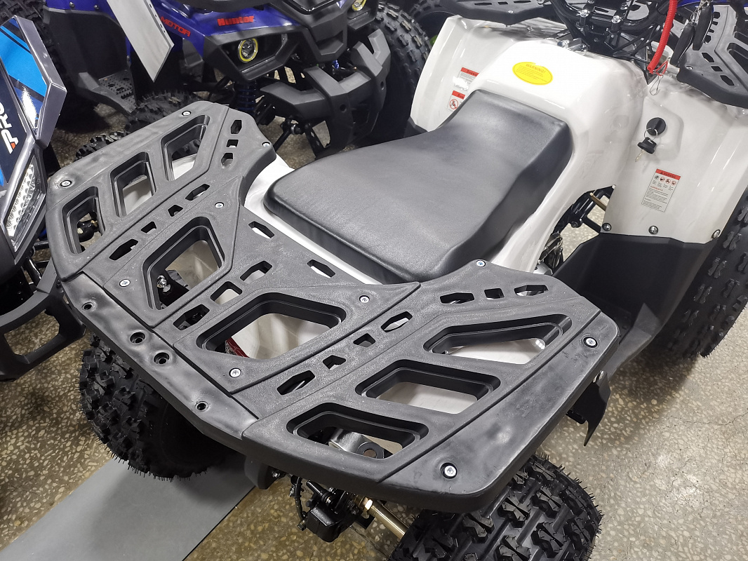 Квадроцикл PROMAX WILD 175 LUX в Красногорске