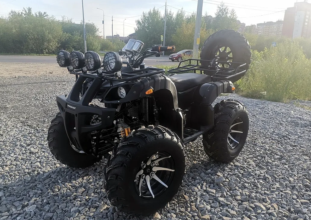 Квадроцикл PROMAX LEO 300 Max (кардан) в Красногорске