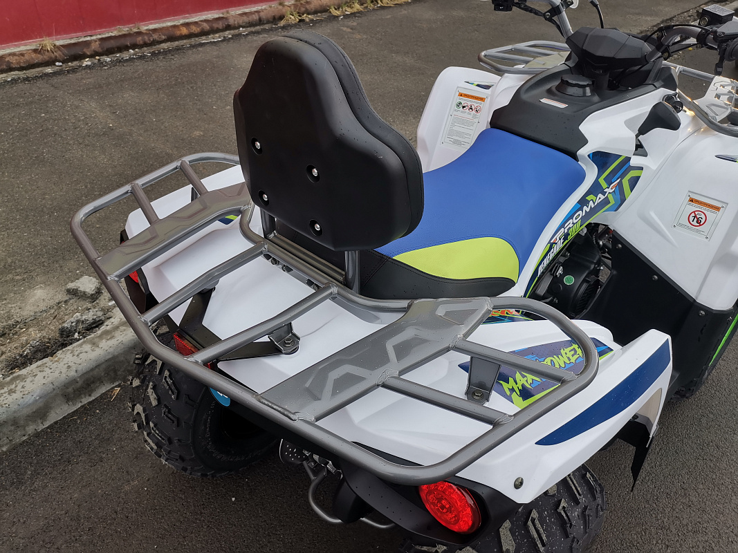 Квадроцикл PROMAX RENEGADE 280 LUX (2025) в Красногорске