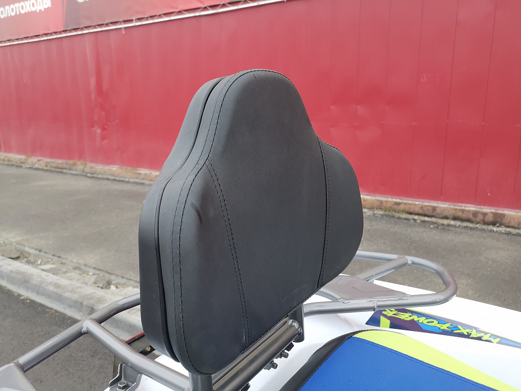 Квадроцикл PROMAX RENEGADE 280 LUX (2025) в Красногорске