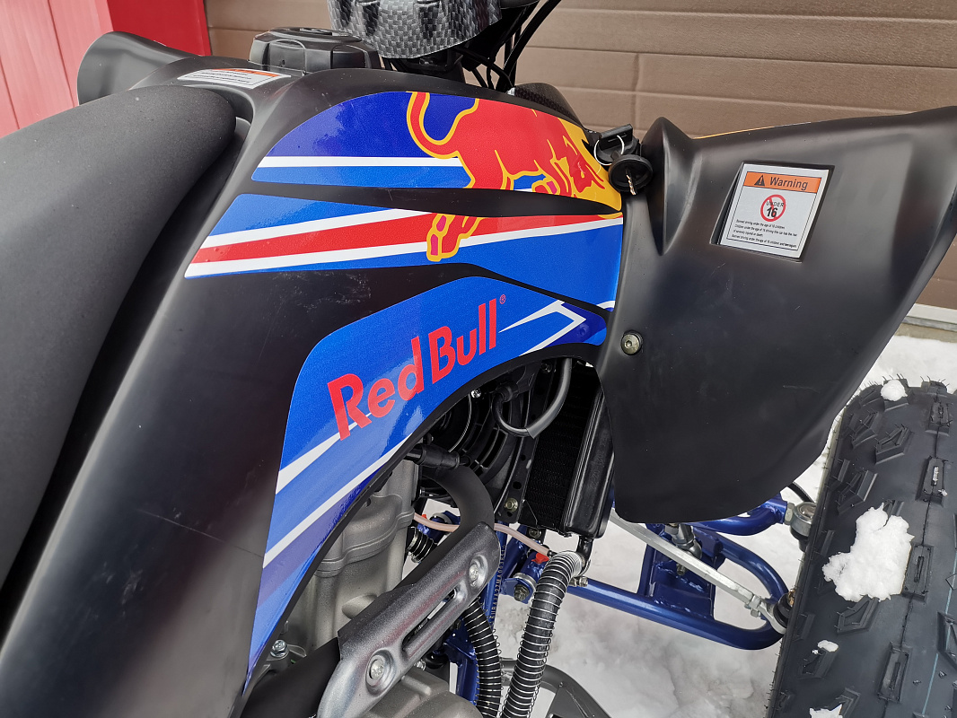 Квадроцикл PROMAX RAPTOR 300 NEW RedBull в Красногорске