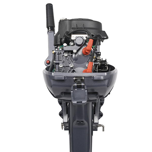 ЛОДОЧНЫЙ МОТОР ALLFA CG Т9,9 в Красногорске