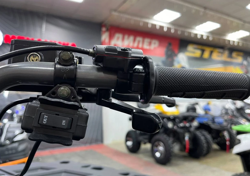 Квадроцикл PROMAX RENEGADE 300 LONG WINCH PRO (2025) в Красногорске