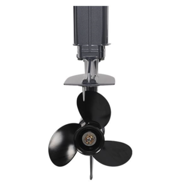 Лодочный мотор ALLFA CG Т40FW S в Красногорске