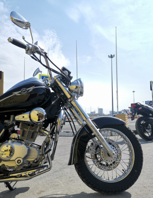 Мотоцикл MOTOLAND (МОТОЛЕНД) WOLF 250 в Красногорске