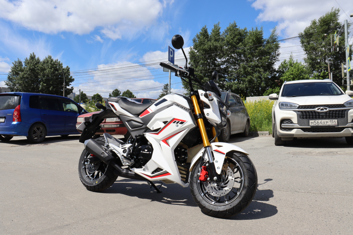 Мотоцикл PROMAX STRYKER 200(49) 2.0 в Красногорске