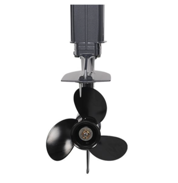 Лодочный мотор ALLFA CG Т40FWT S в Красногорске