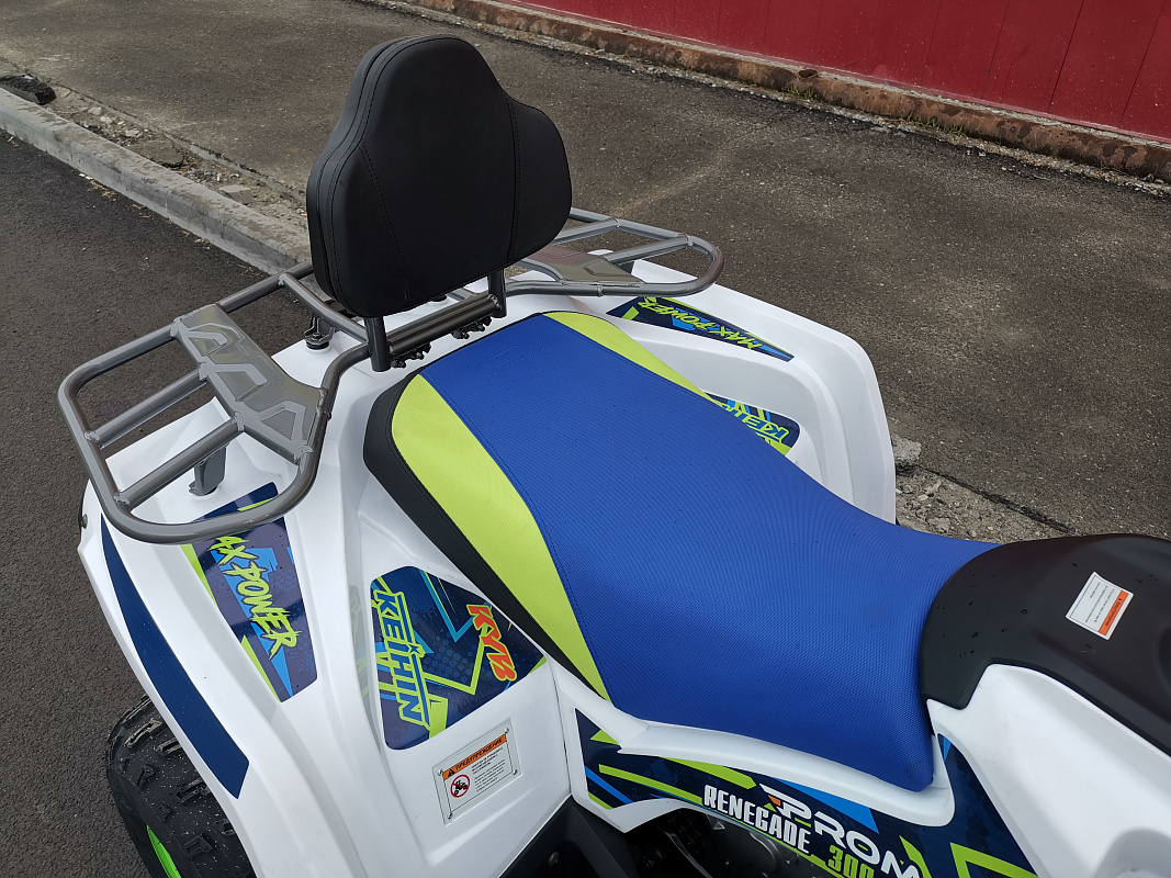 Квадроцикл PROMAX RENEGADE 280 LUX (2025) в Красногорске