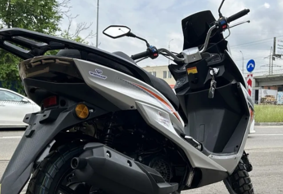 МаксиСкутер PROMAX MAGNUS 200(49) в Красногорске