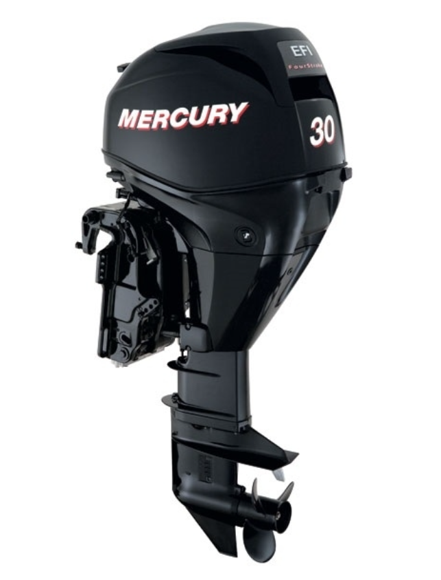 ЛОДОЧНЫЙ МОТОР MERCURY  F 30 ELH GA EFI в Красногорске