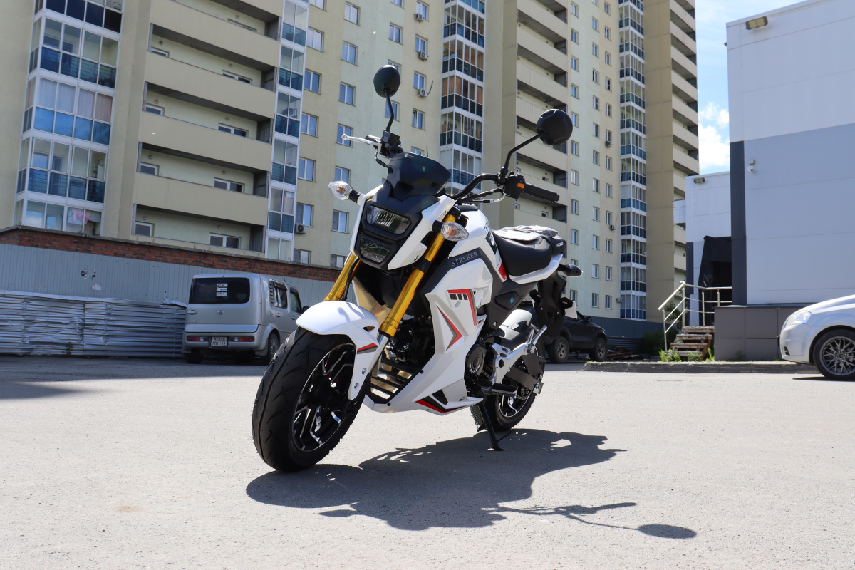Мотоцикл PROMAX STRYKER 200(49) 2.0 в Красногорске