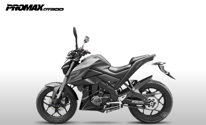 Мотоцикл PROMAX MT300 в Красногорске