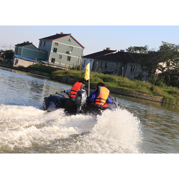 ЛОДОЧНЫЙ МОТОР ALLFA CG Т20 в Красногорске