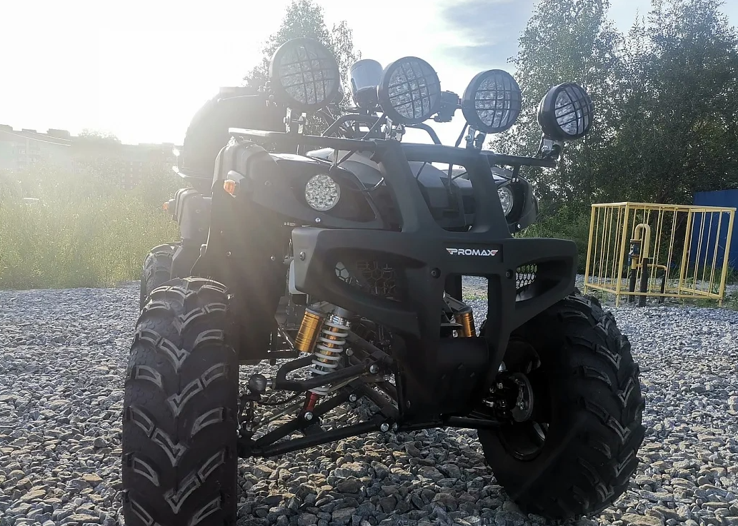 Квадроцикл PROMAX LEO 300 Max (кардан) в Красногорске