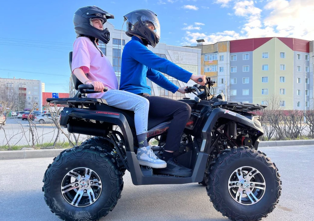 Квадроцикл PROMAX RENEGADE 300 LONG WINCH PRO (2025) в Красногорске