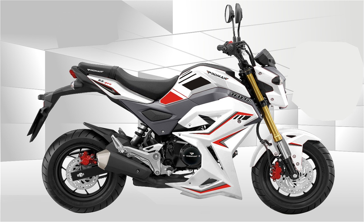 Мотоцикл PROMAX STRYKER 200(49) 2.0 в Красногорске