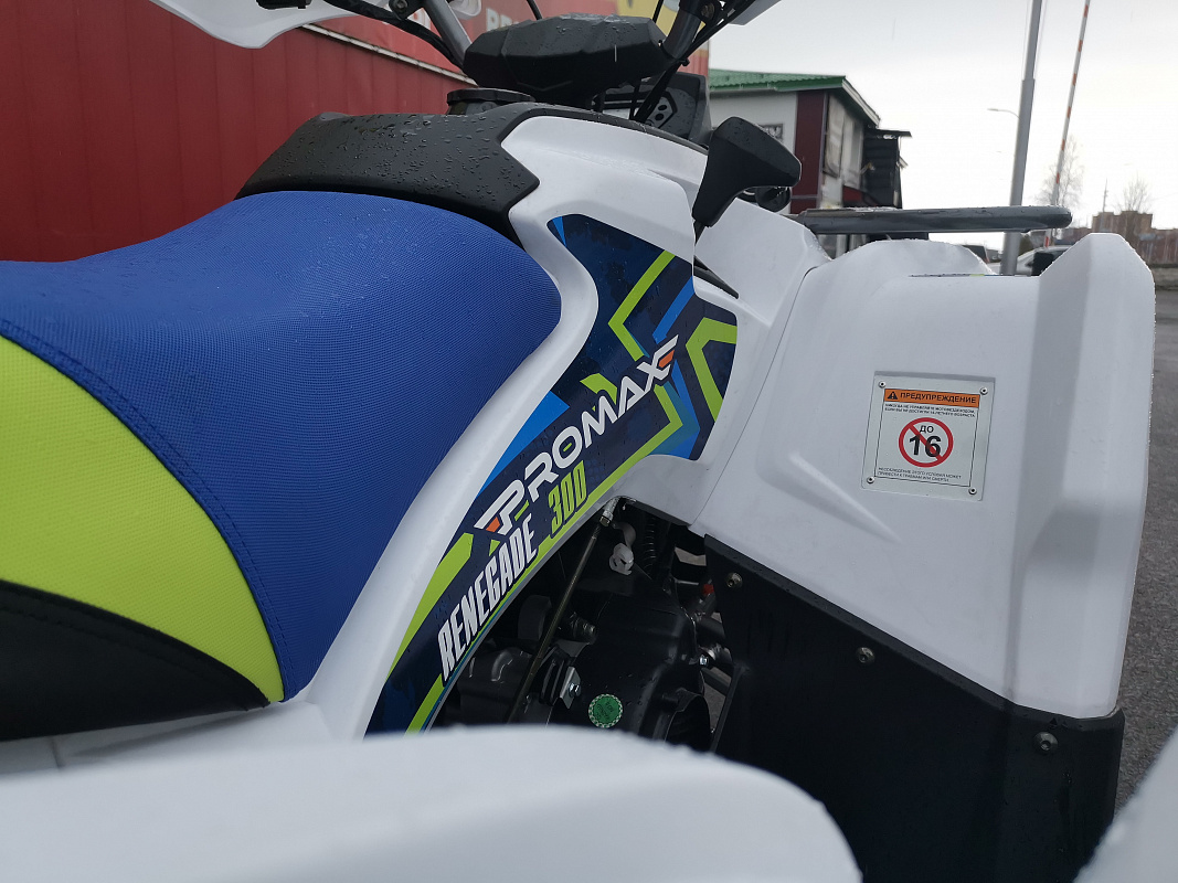Квадроцикл PROMAX RENEGADE 280 LUX (2025) в Красногорске