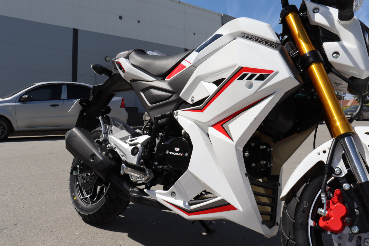 Мотоцикл PROMAX STRYKER 200(49) 2.0 в Красногорске