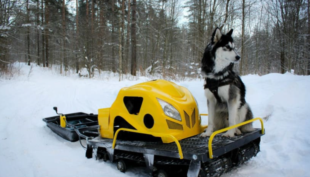 Мотобуксировщик LEBEDEV MOTORS ВОЛКОДАВ POWER V13 в Красногорске
