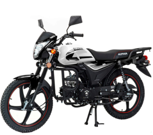 Мопед MOTOLAND (МОТОЛЕНД) Альфа RS 11 (LM48-B) в Красногорске