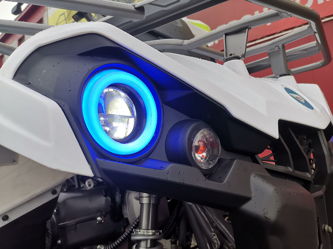 Квадроцикл PROMAX RENEGADE 280 LUX (2025) в Красногорске