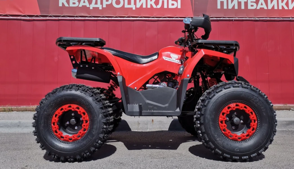 Квадроцикл PROMAX WILD 175 BASIC в Красногорске