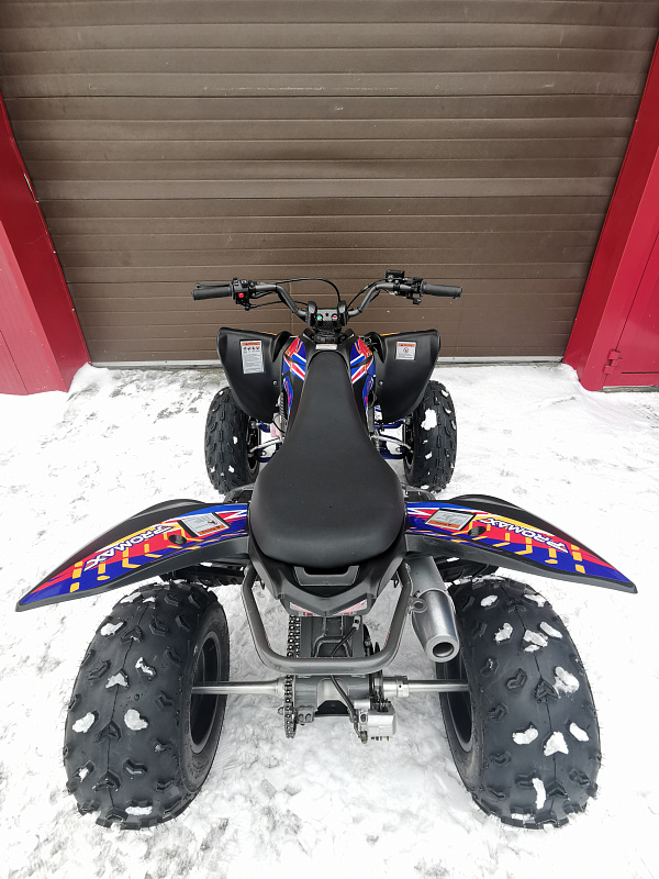 Квадроцикл PROMAX RAPTOR 300 NEW RedBull в Красногорске