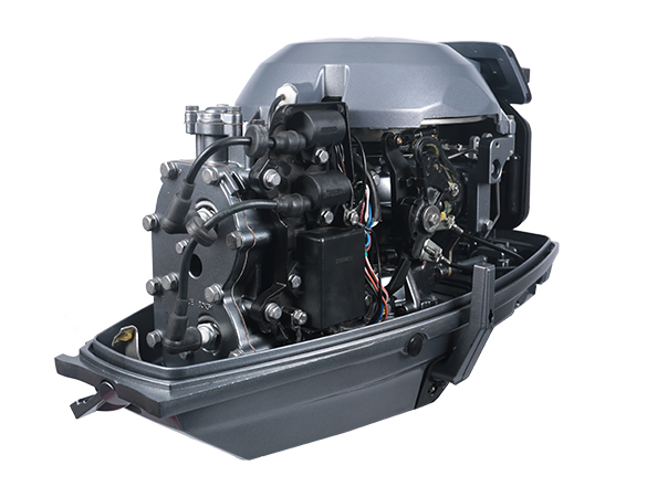 ЛОДОЧНЫЙ МОТОР ALLFA CG T30 FW S в Красногорске