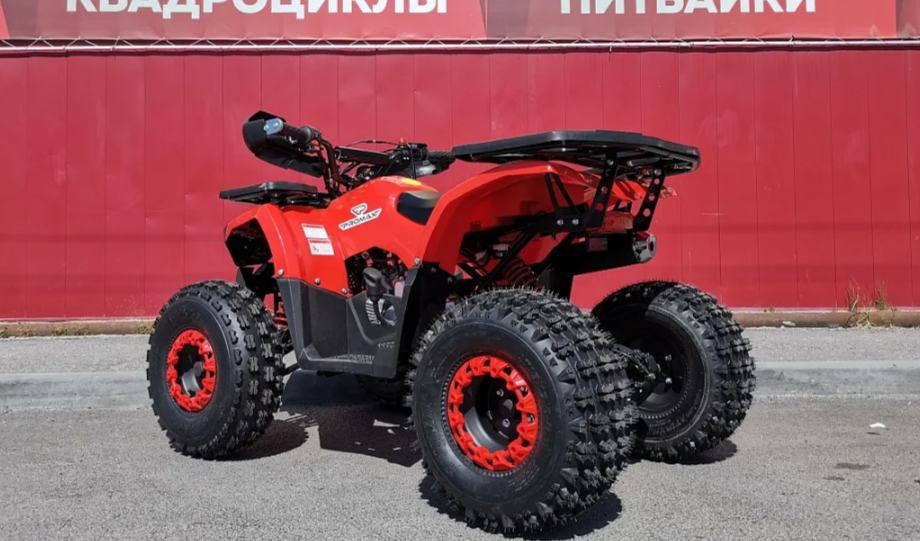 Квадроцикл PROMAX WILD 175 BASIC в Красногорске