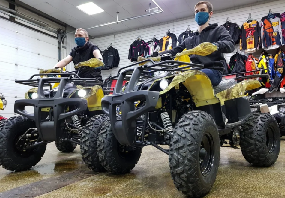 Квадроцикл PROMAX ATV 250 (2025) в Красногорске