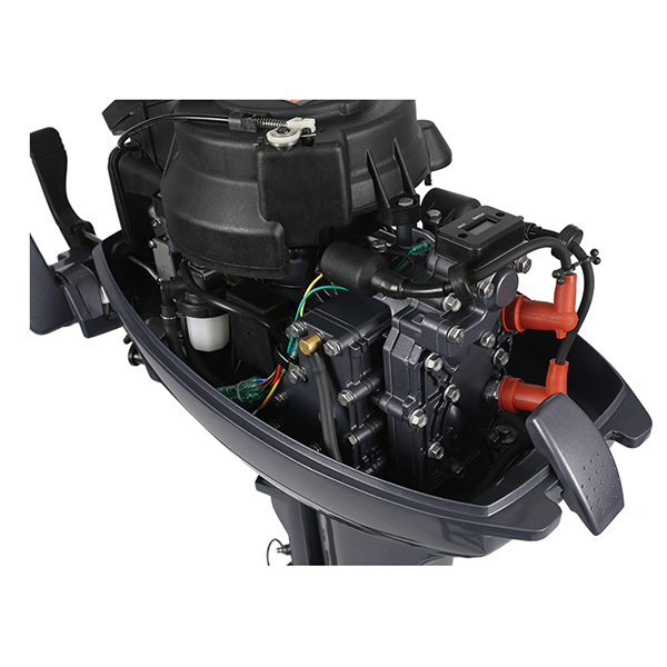 ЛОДОЧНЫЙ МОТОР ALLFA CG Т9,9 в Красногорске