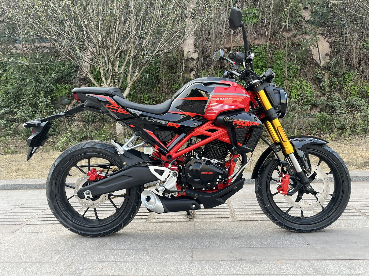 Мотоцикл PROMAX CB300RL (4V, 6G) в Красногорске