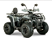 Квадроцикл YACOTA DRAGON LUX LD 150 PRO-SPORT в Красногорске