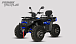 Квадроцикл PROMAX TAURUS 300 MAX-PRO LONG в Красногорске