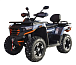 Квадроцикл MOTOLAND (МОТОЛЕНД) 300 MAX X в Красногорске