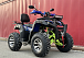  Квадроцикл PROMAX ATV 250 MAX (2025) в Красногорске