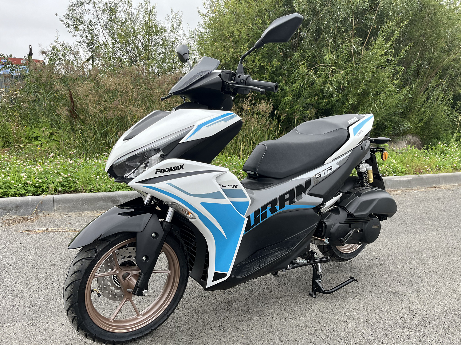 Скутер PROMAX TURAN 250 (49) в Красногорске