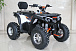 Квадроцикл GBM STORMRIDER 320 PREMIUM в Красногорске
