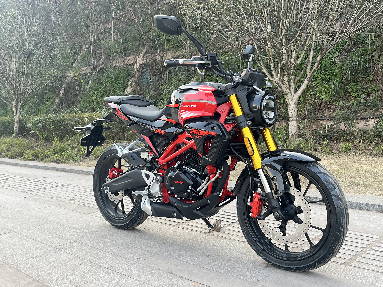 Мотоцикл PROMAX CB300 в Красногорске