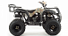 Квадроцикл MOTOLAND (МОТОЛЕНД) 200 ALL ROAD в Красногорске