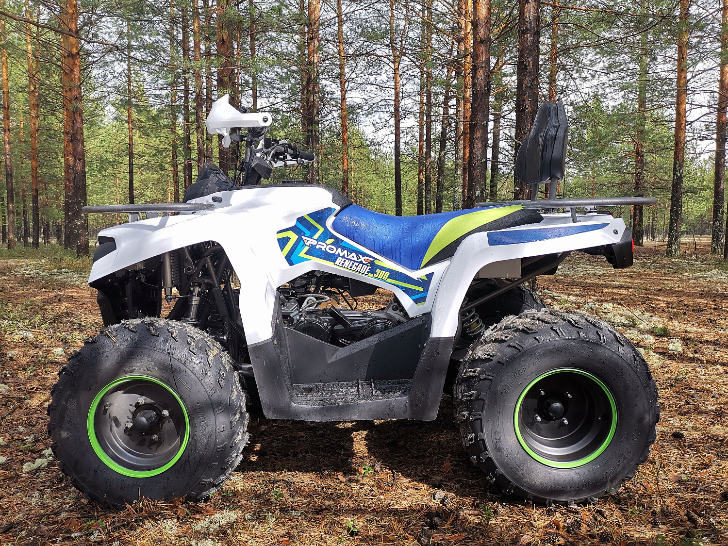 Квадроцикл PROMAX RENEGADE 280 (2025) в Красногорске