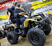 Квадроцикл PROMAX ATV 250 (2025) в Красногорске