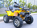 Квадроцикл MOTOLAND (МОТОЛЕНД) VOX200 WILD TRACK X PRO (баланс. вал) в Красногорске