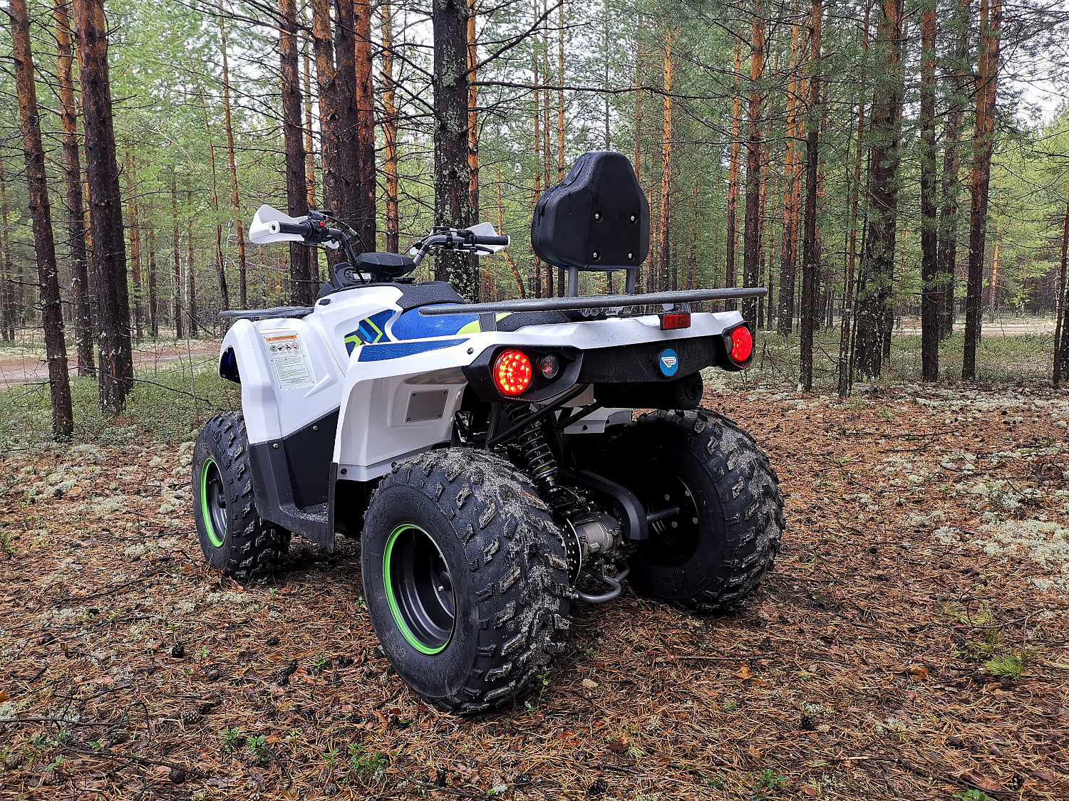 Квадроцикл PROMAX RENEGADE 280 (2025) в Красногорске
